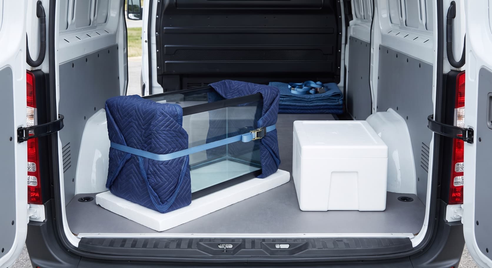 Transporting an Aquarium – So Tank and Fish Survive the Move